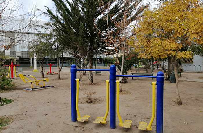  Máquinas de Ejercicios